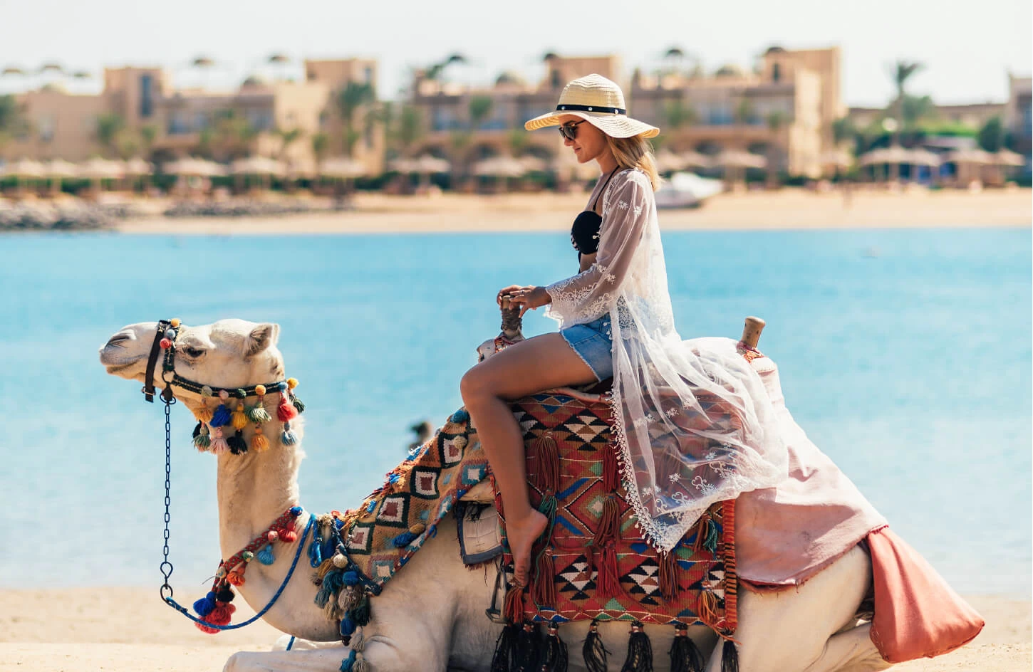 Explore Sharm El Sheikh: Egypt's Coastal Gem