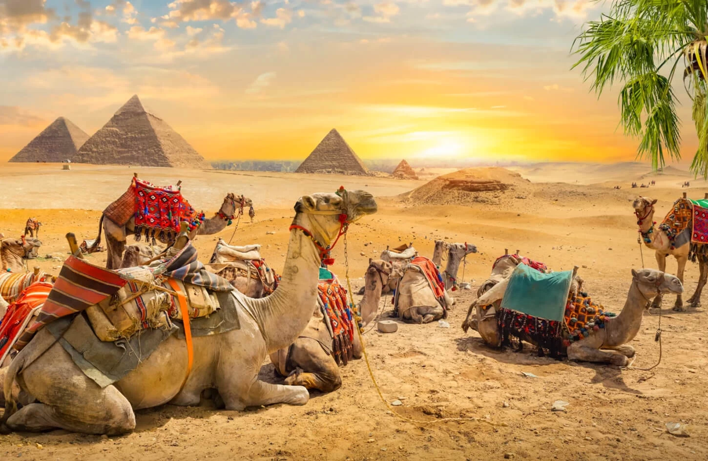 Travel Tips for Egypt