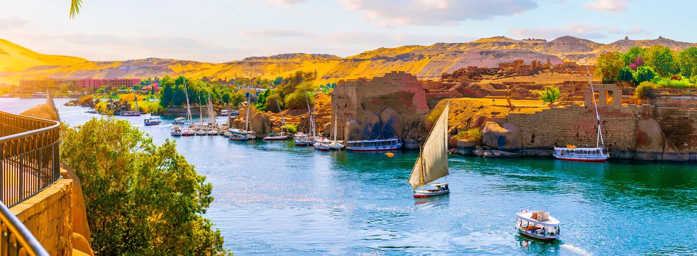 Aswan Day Tours