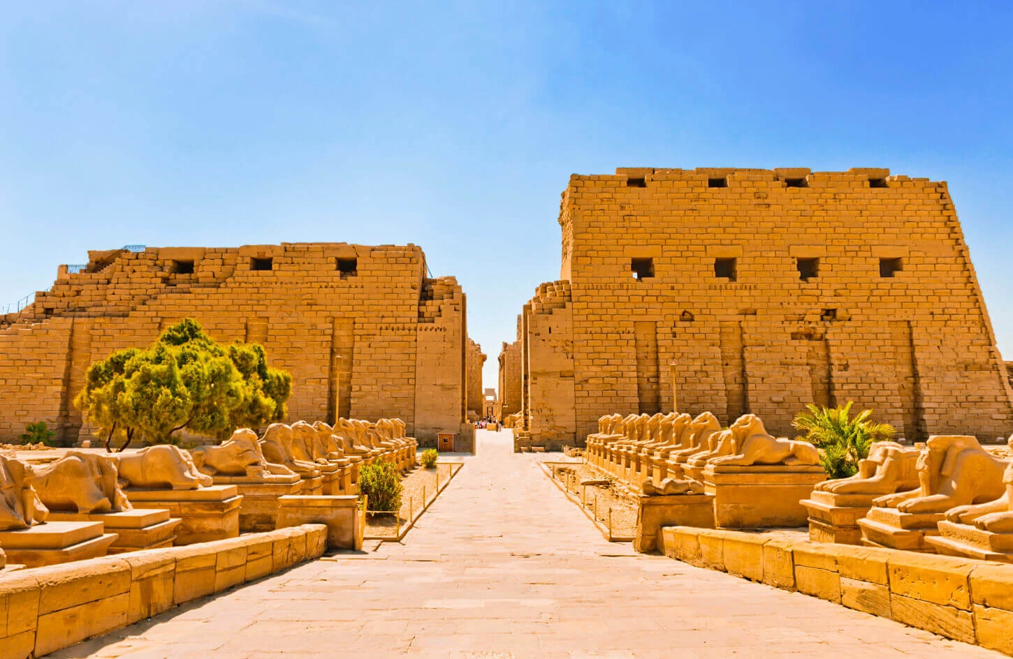 Day Tour to Luxor from Cairo by Air