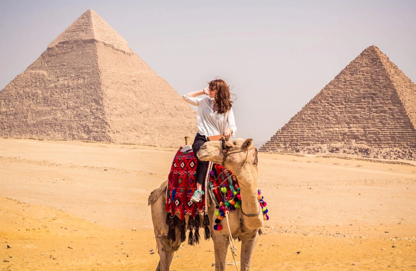 Sunset Camel Ride in Pyramids of Giza