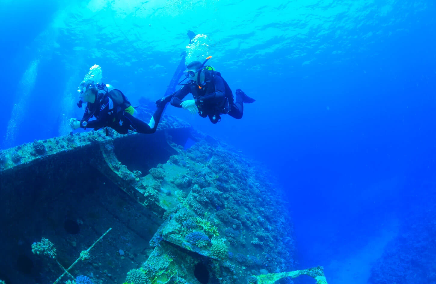 Explore Egypt's Top Scuba Diving Havens